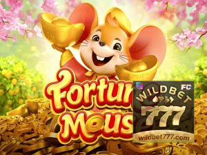WILD BET777 login — configurações de segurança e proteção de conta